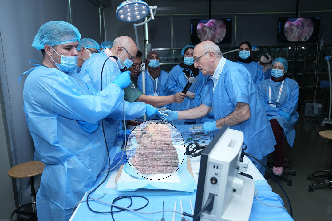 14TH AESTHETIC AND FUNCTIONAL SEPTORHINOPLASTY COURSE WITH HANDS-ON CADAVER DISSECTION: STEP BY STEP RHINOPLASTY & SEPTOPLASTY - Image 2