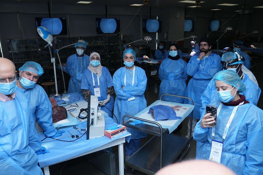 14TH AESTHETIC AND FUNCTIONAL SEPTORHINOPLASTY COURSE WITH HANDS-ON CADAVER DISSECTION: STEP BY STEP RHINOPLASTY & SEPTOPLASTY - Image 5