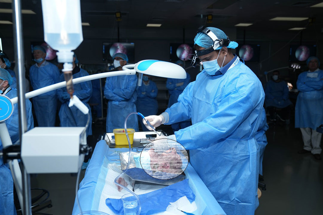 15TH INTENSIVE SNORING AND SLEEP APNEA COURSE WITH HANDS-ON CADAVER DISSECTION - Image 4