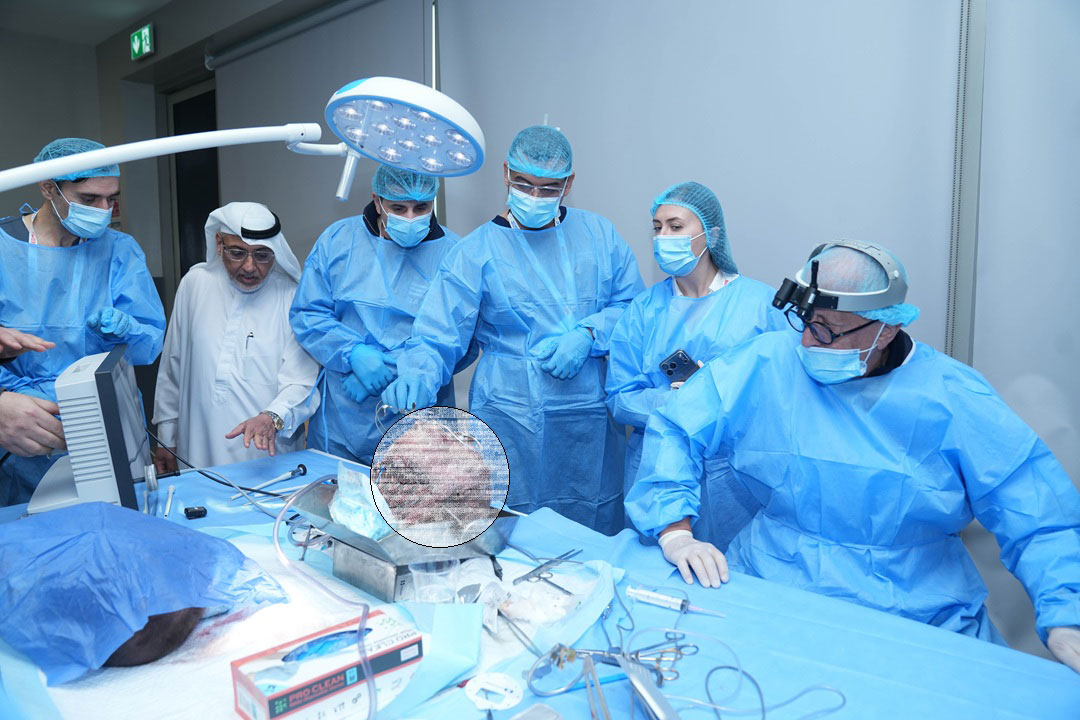 15TH INTENSIVE SNORING AND SLEEP APNEA COURSE WITH HANDS-ON CADAVER DISSECTION - Image 5