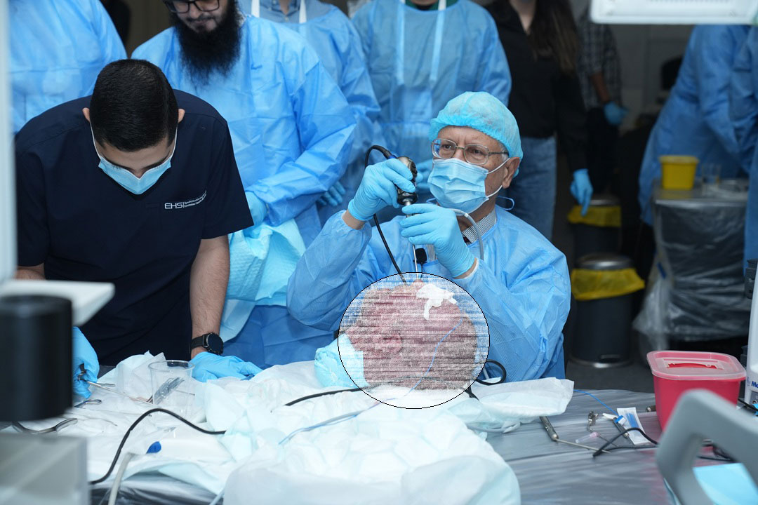 16TH PAN ARAB RHINOLOGY BASIC & ADVANCED FUNCTIONAL ENDOSCOPIC SINUS SURGERY (FESS) COURSE WITH HANDS-ON CADAVER DISSECTION - Image 2