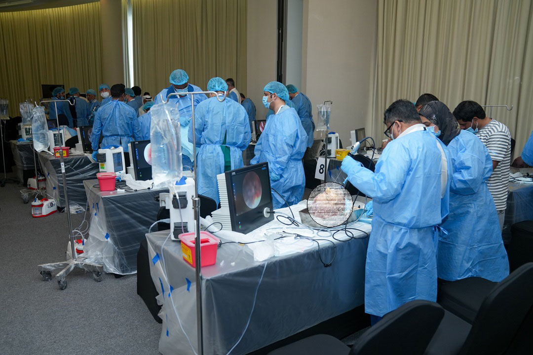 16TH PAN ARAB RHINOLOGY BASIC & ADVANCED FUNCTIONAL ENDOSCOPIC SINUS SURGERY (FESS) COURSE WITH HANDS-ON CADAVER DISSECTION - Image 4