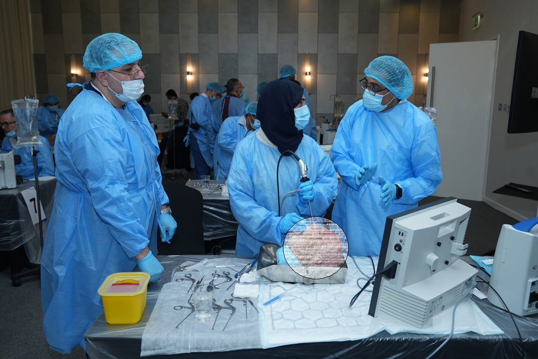 16TH PAN ARAB RHINOLOGY BASIC & ADVANCED FUNCTIONAL ENDOSCOPIC SINUS SURGERY (FESS) COURSE WITH HANDS-ON CADAVER DISSECTION - Image 5