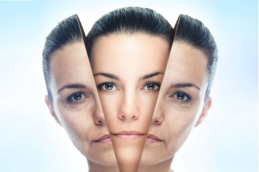 Sculpting Time: Hands-On Cadaveric Course in Facial Rejuvenation Surgery - Image 1
