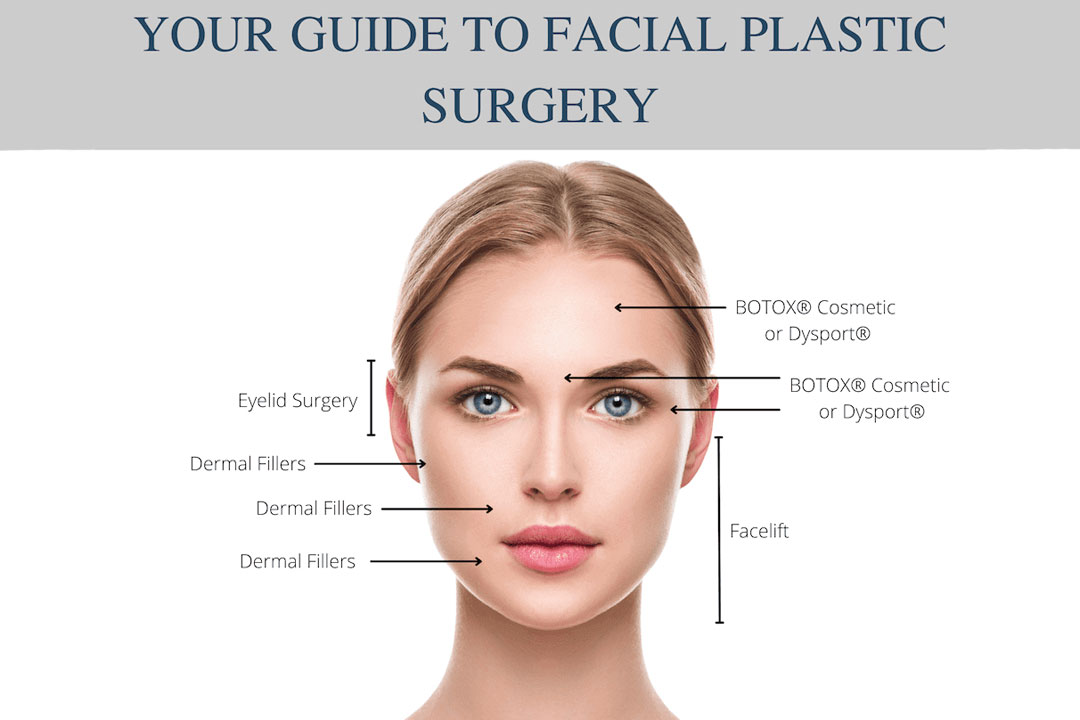 Sculpting Time: Hands-On Cadaveric Course in Facial Rejuvenation Surgery - Image 2