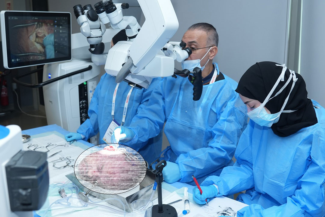14TH TEMPORAL BONE DISSECTION COURSE WITH HANDS-ON HEARING IMPLANT - Image 1