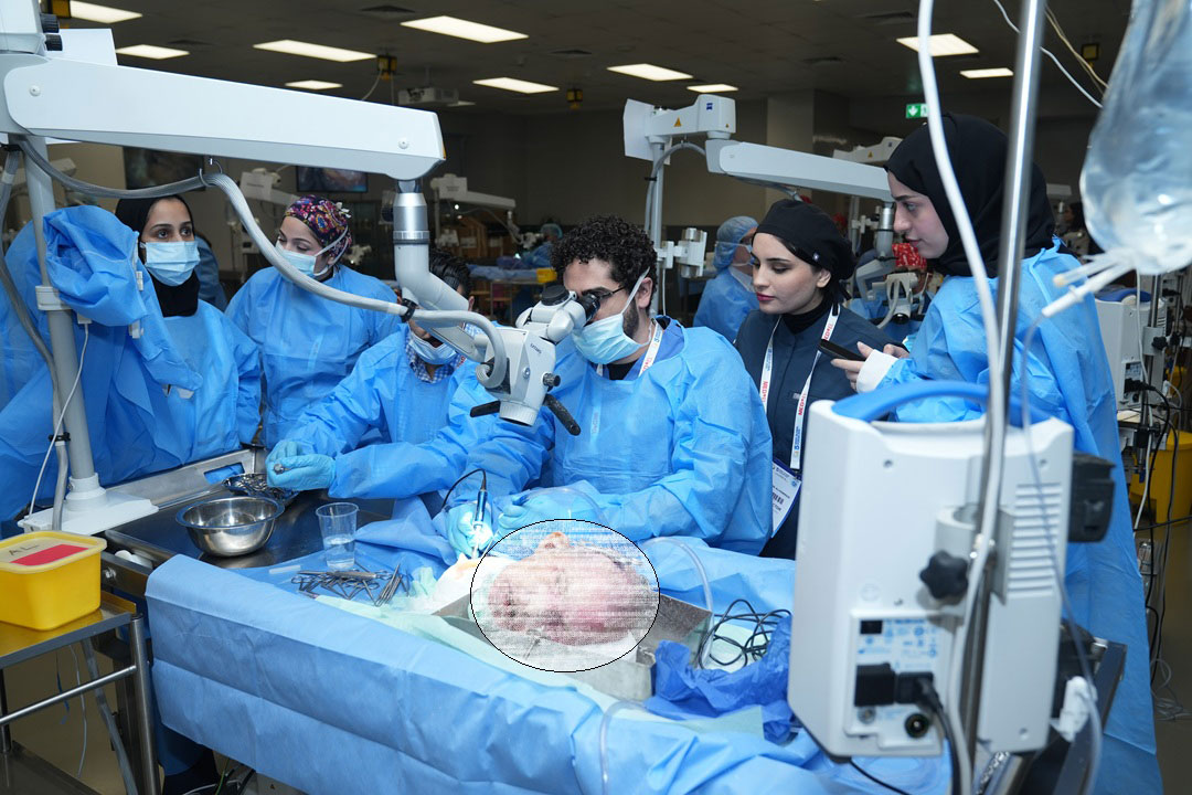 14TH TEMPORAL BONE DISSECTION COURSE WITH HANDS-ON HEARING IMPLANT - Image 4
