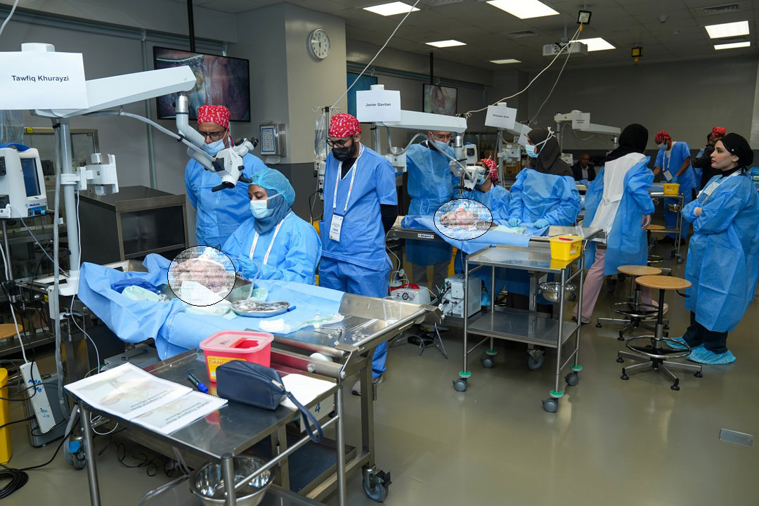 14TH TEMPORAL BONE DISSECTION COURSE WITH HANDS-ON HEARING IMPLANT - Image 5