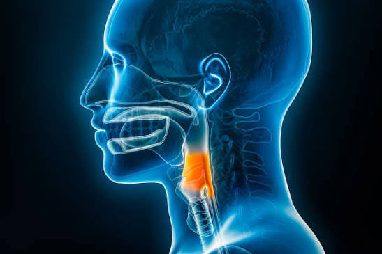 Laryngology Hands-On Workshop - Image 1